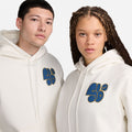Nike SB Fleece Pullover Skate Hood White