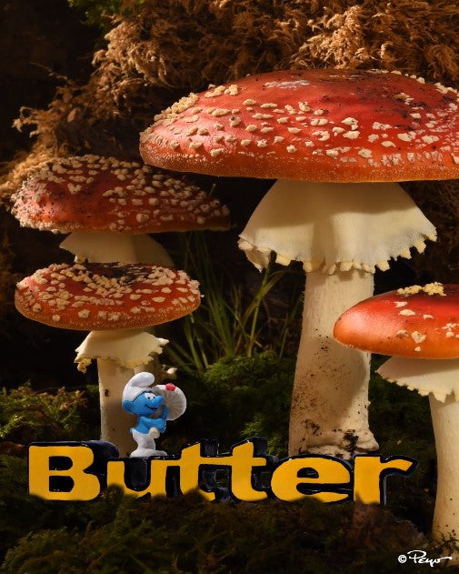 BUTTER GOODS X THE SMURFS Embassy chch