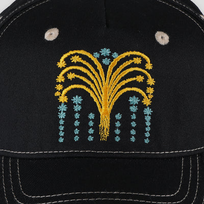 Passport Roman Candles Packers Cap Black