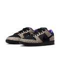 Nike SB Dunk Low x Dashawn Jordan Shoe