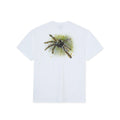 Polar Green Spider Tee White