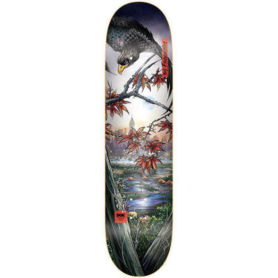 DGK Dwayne Fagundes Prosperity Deck 8.10"