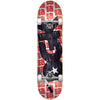 DGK Scribble Complete 7.75"