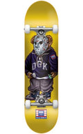 DGK The Plug Complete 7.5" and 8.25" Yellow