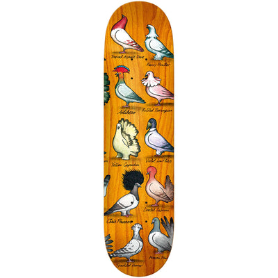 Antihero Chris Pfanner Showpigeon Deck 8.06