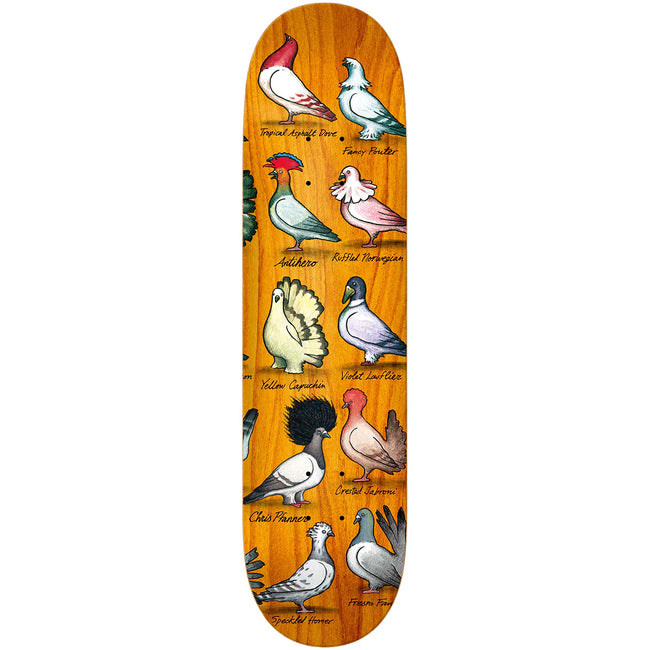 Antihero Chris Pfanner Showpigeon Deck 8.06