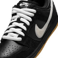 Nike SB Dunk Low Pro Black/Noir