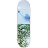 Polar Paul Grund Man with Window deck 8.0"